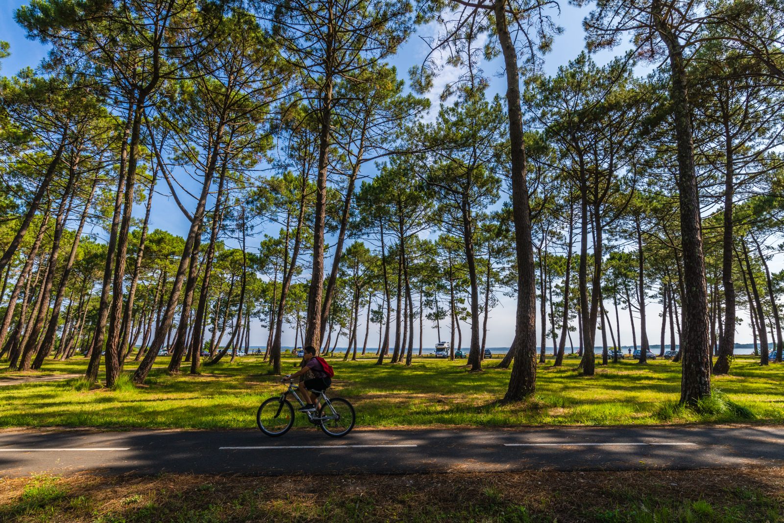 Circuit rando départemental – Navarrosse