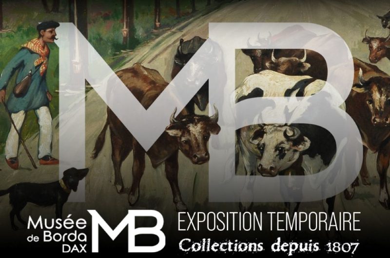 vignette collection-1200×900