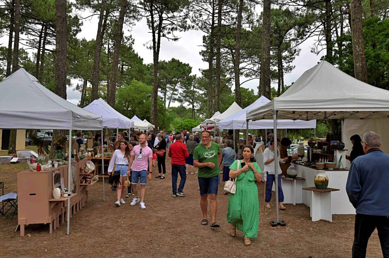 vue-d-ensemble-du-marche